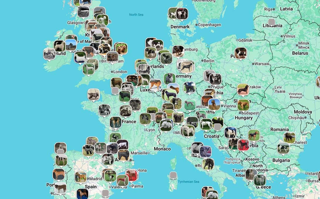 DogFlux map demo showing global dog breed origins